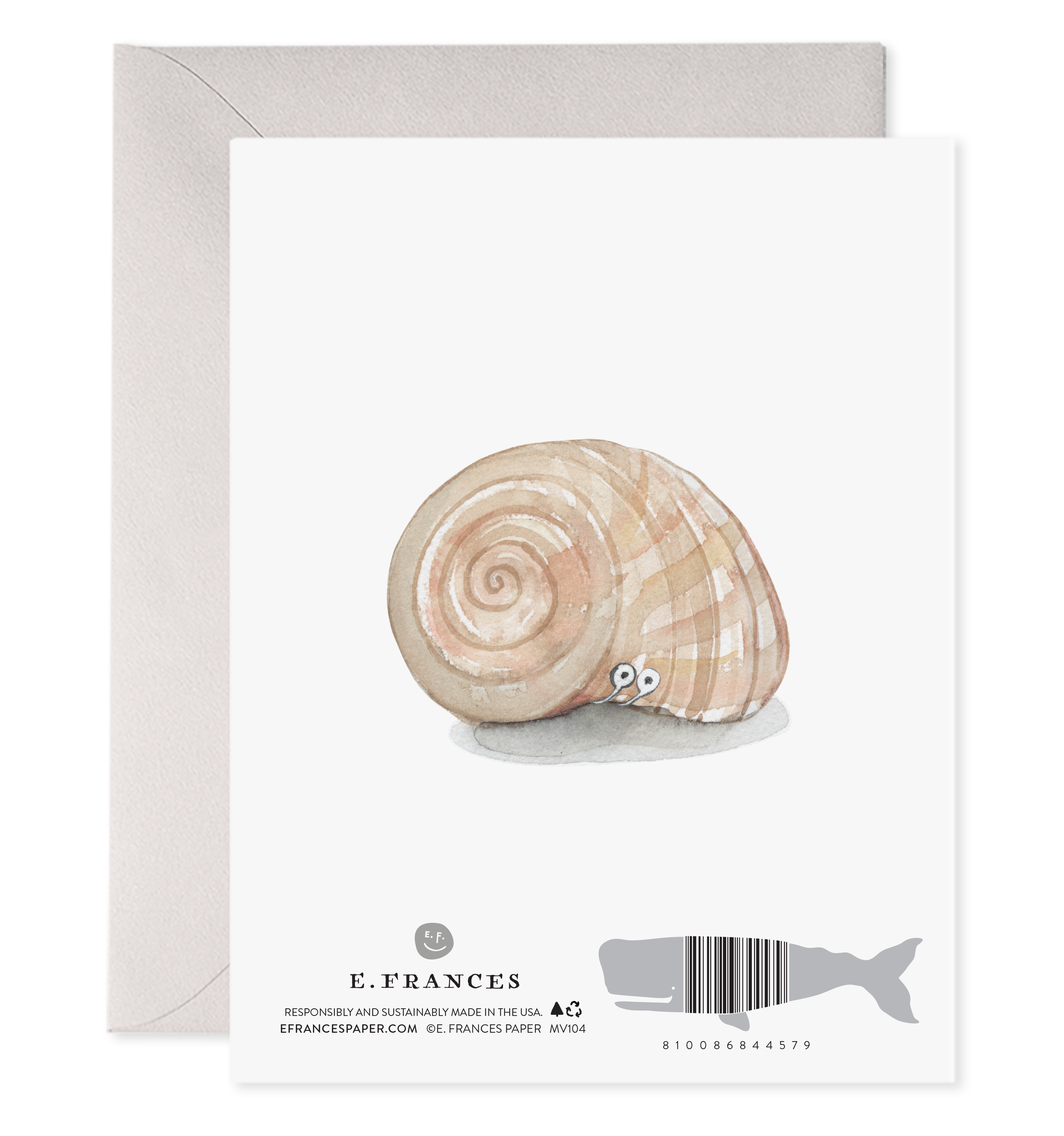New Shell | Housewarming Card Snail Hermit Crab