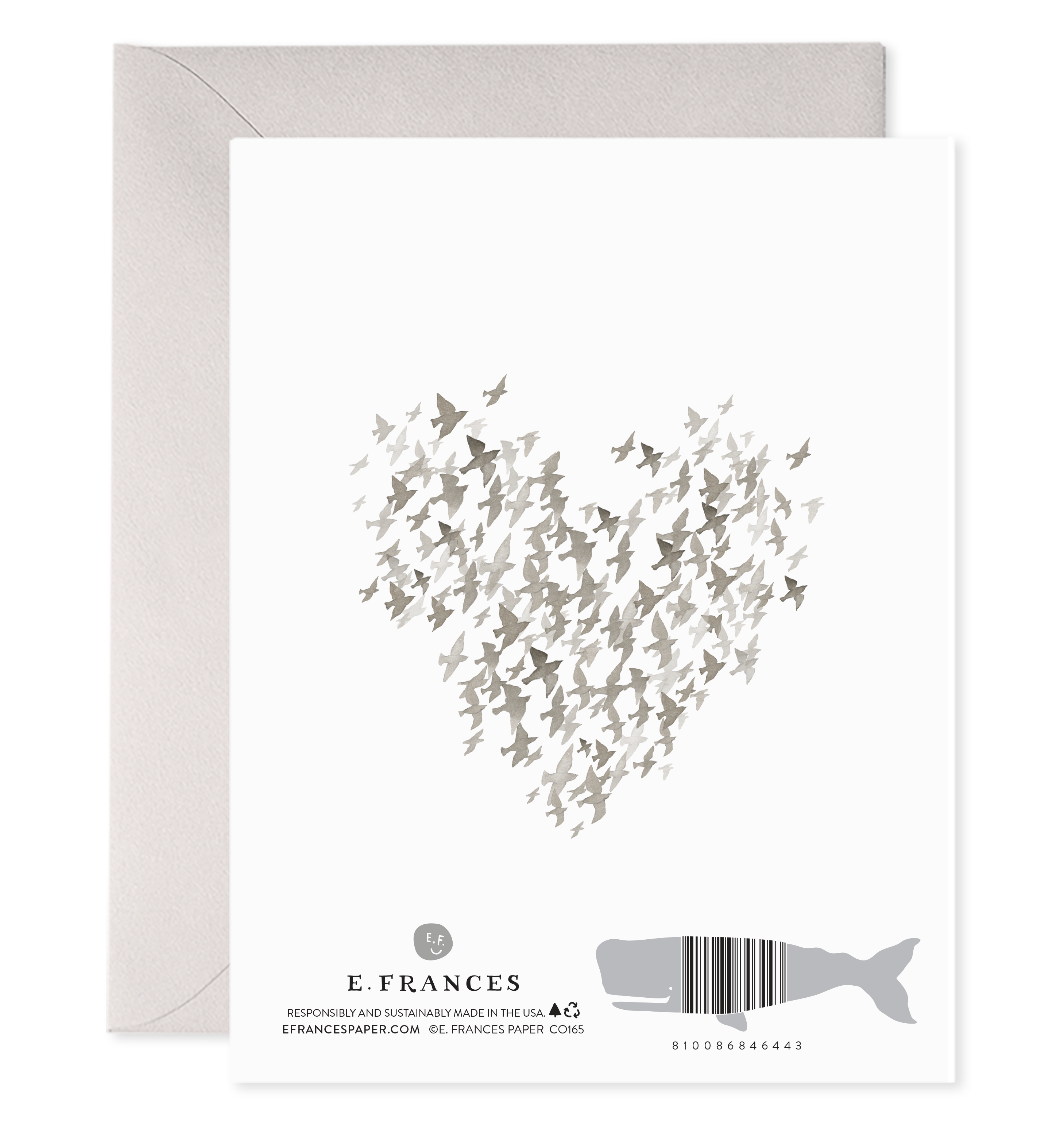 Starlings So Sorry| Condolence Card