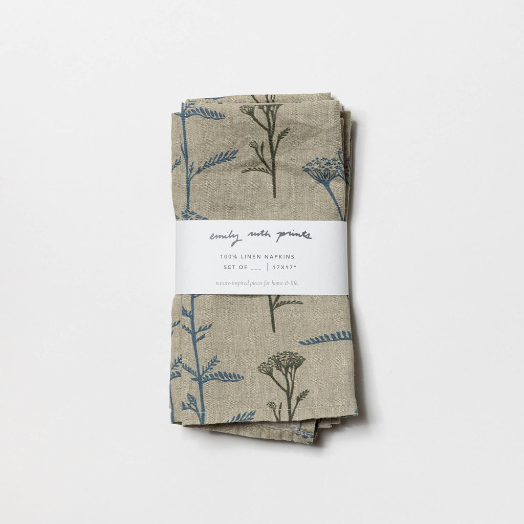 Linen napkins (Set of 2)